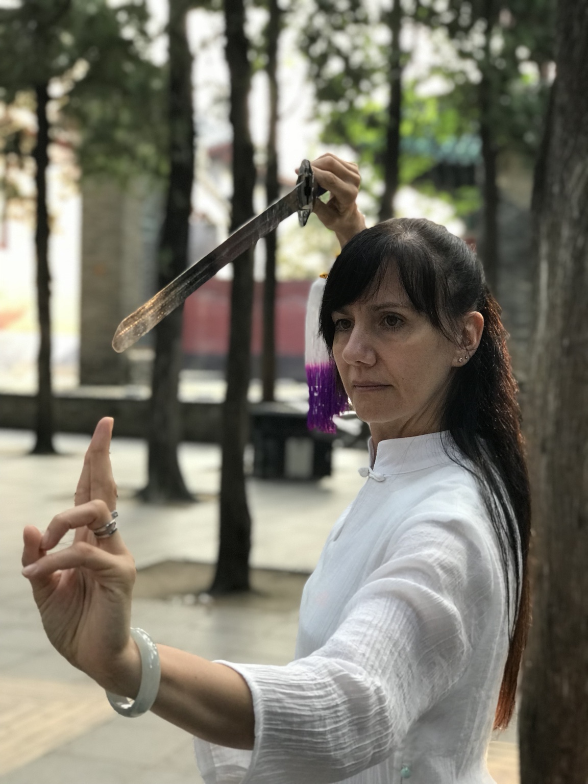 Taiji Quan